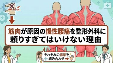 筋肉が原因の慢性腰痛を整形外科に頼りすぎてはいけない理由