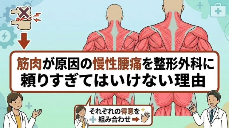 慢性腰痛を整形外科に頼り過ぎずに鍼灸整体へ