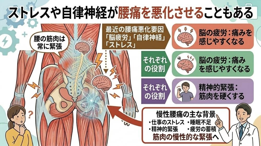 ストレスや自治付神経が慢性腰痛を悪化させる原因にもなる