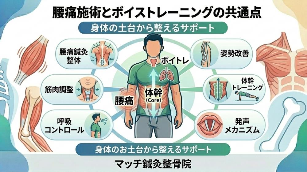腰痛施術とボイストレーニングの共通点鍼灸整体で土台からサポート