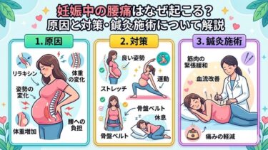 【妊娠中の腰痛】なぜ起こる？原因と対策・鍼灸施術について解説