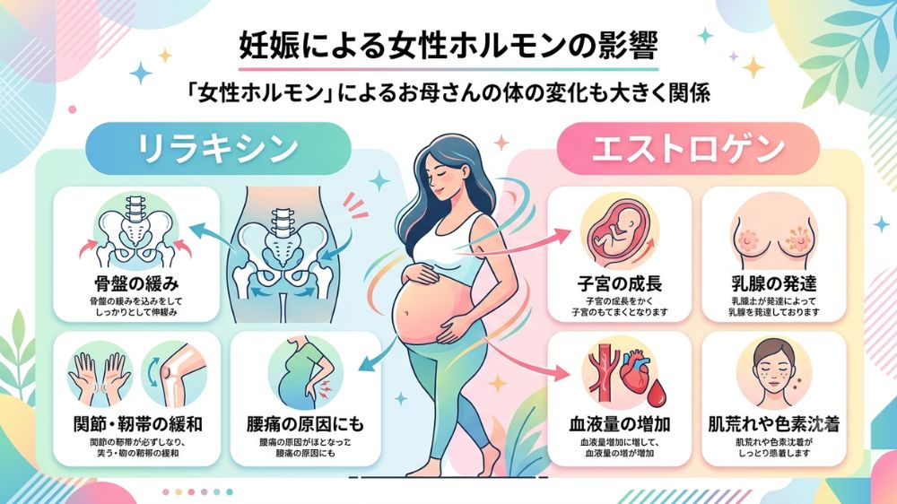 妊婦の女性ホルモンの影響による腰痛