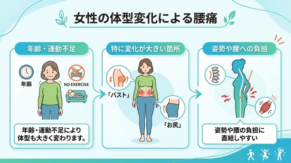 女性の体型変化による腰痛には鍼灸