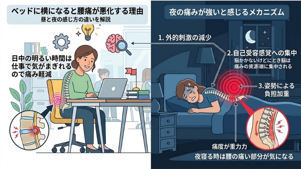 札幌の自宅で日中より夜に腰痛が気になる理由