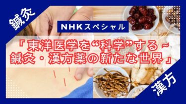 【視聴まとめ】NHKスペシャル「東洋医学を“科学”する～鍼灸（しんきゅう）・漢方薬の新たな世界」