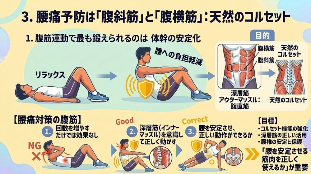 腹筋は自然のコルセット