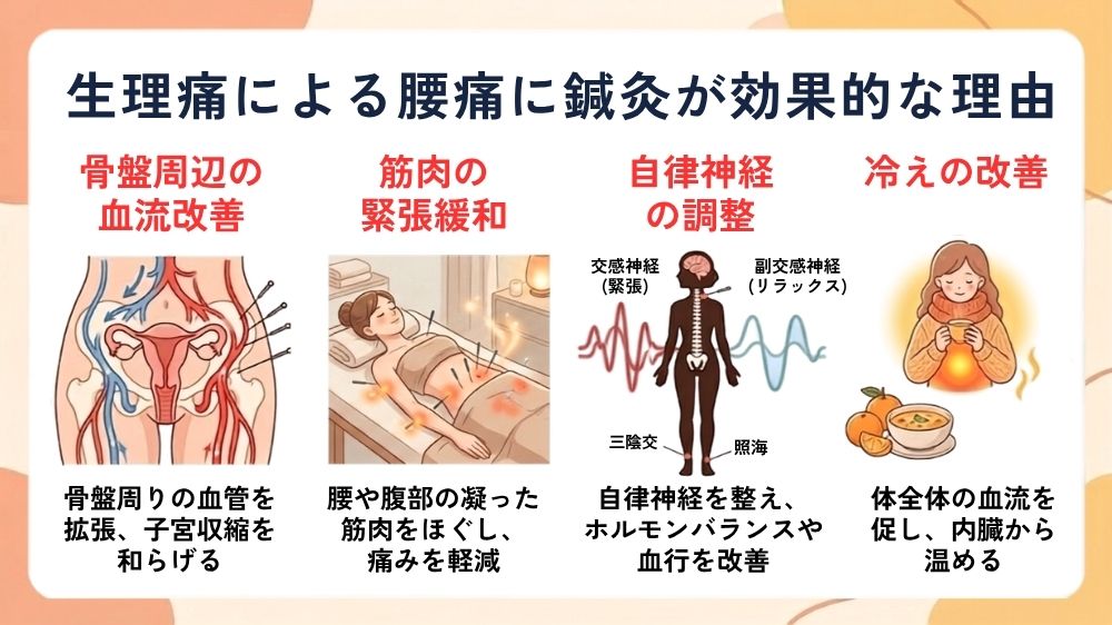 生理痛による腰痛に鍼灸が有効な理由を札幌の鍼灸師が解説