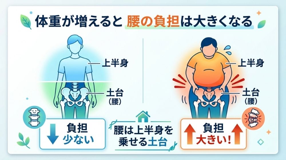体重が増えると腰痛のリスクが高まります