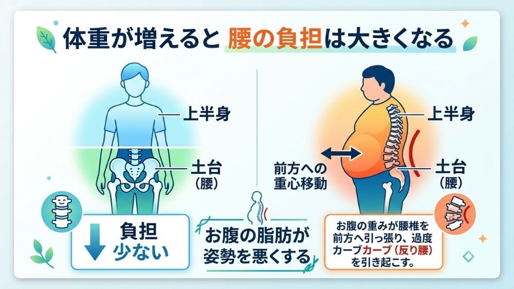 肥満による反り腰で腰痛が発生円山の鍼灸院で改善
