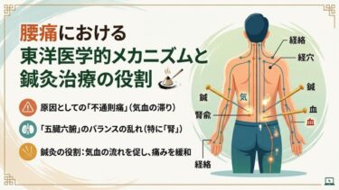 腰痛における東洋医学的メカニズムと鍼灸治療の役割