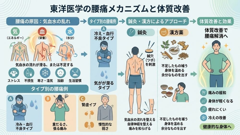 東洋医的腰痛は札幌市中央区円山公園駅・大通駅エリアの鍼灸院にお任せ