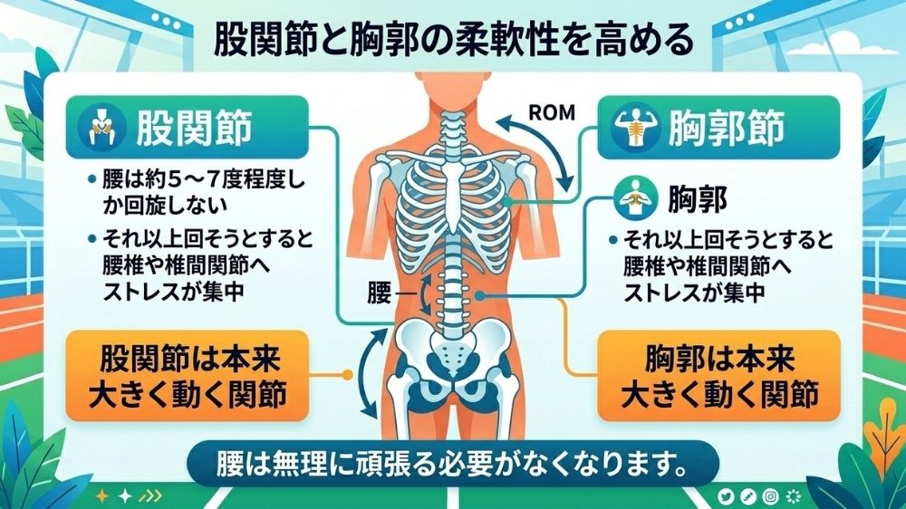 股関節と胸郭の柔軟性を高めてゴルフ腰痛を解決
