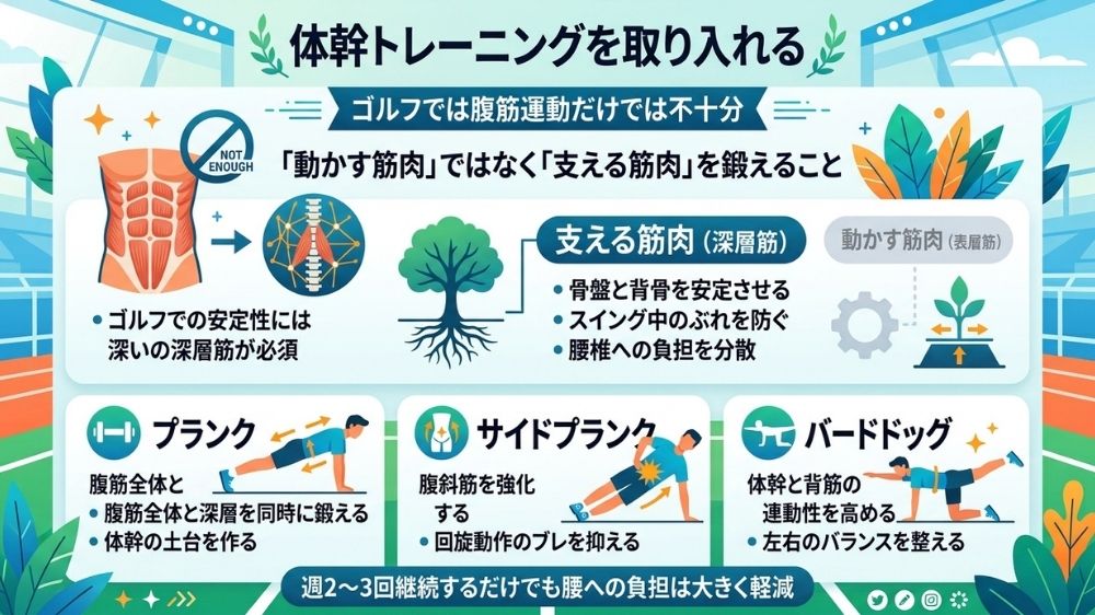 ゴルフ腰痛が緩和されてきたら鍼灸整体と体幹トレーニングを併用