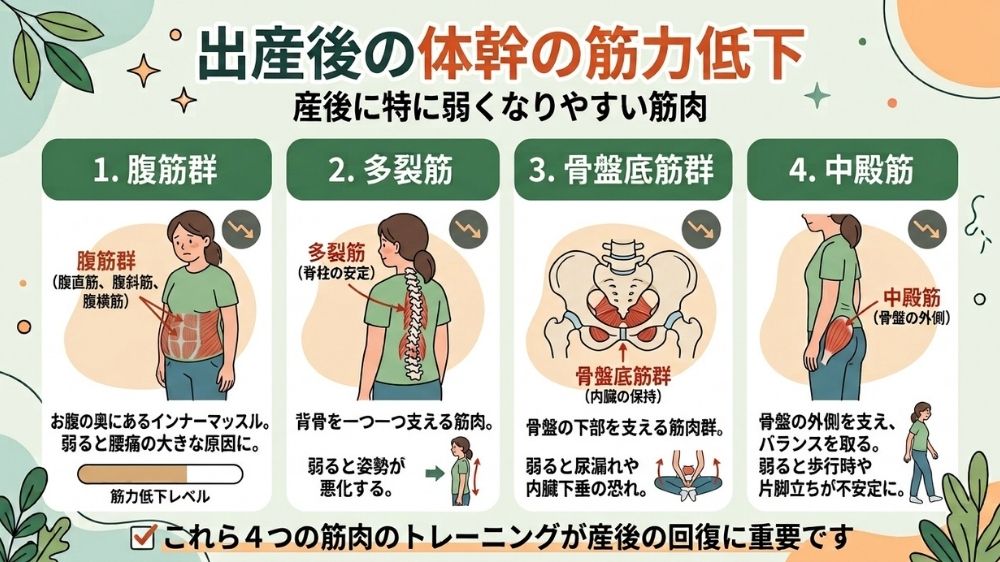 体幹弱いと抱っこで腰痛に札幌の鍼灸整体で解消