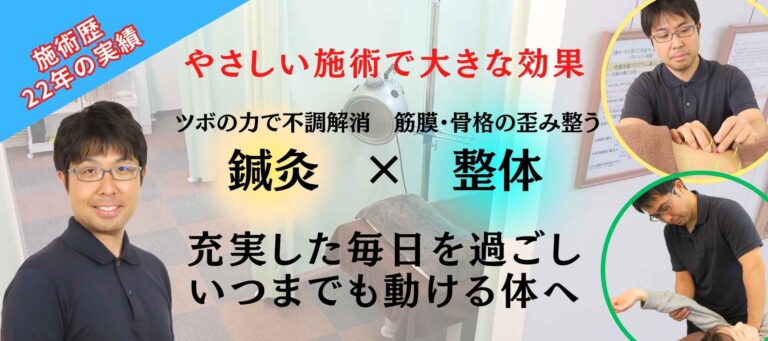 鍼灸学 セイリン鍼灸針 J-Sakura（旧 JSP) : メディスター健康ストア